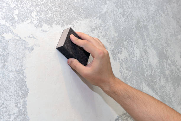 Best Water Damage & Mold Remediation  in Glyndon, MN