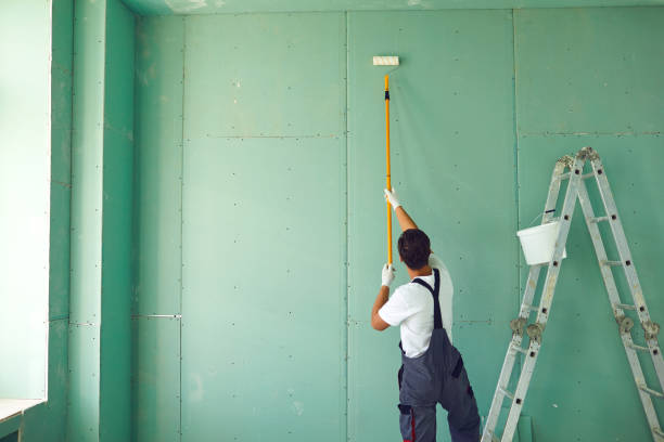 Best Industrial Mold Remediation  in Glyndon, MN
