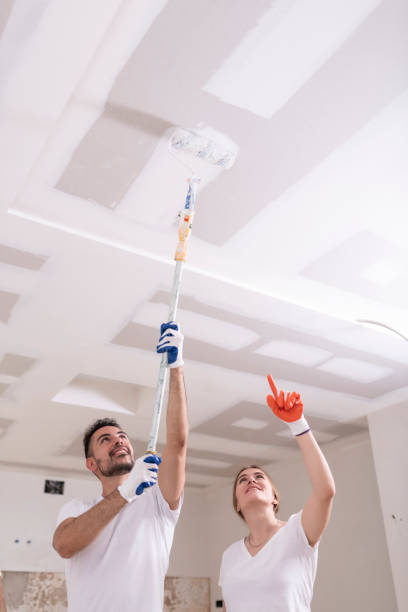Best Indoor Air Quality Assessment  in Glyndon, MN