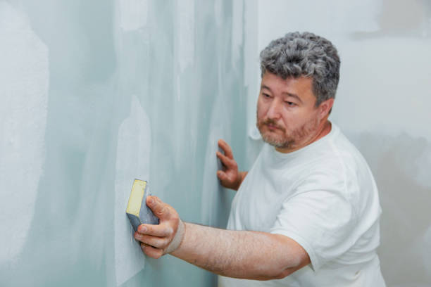 Best HVAC Mold Inspection and Cleaning  in Glyndon, MN