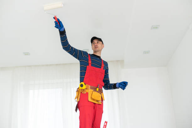 Best Attic Mold Removal  in Glyndon, MN
