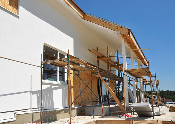 Best Mold Damage Restoration  in Glyndon, MN